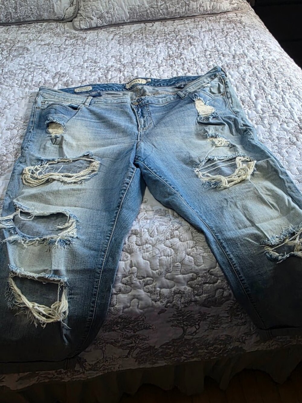 Torrid Jeans